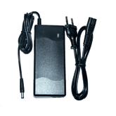 Caricabatterie DYU per ebike con cavo, 36V